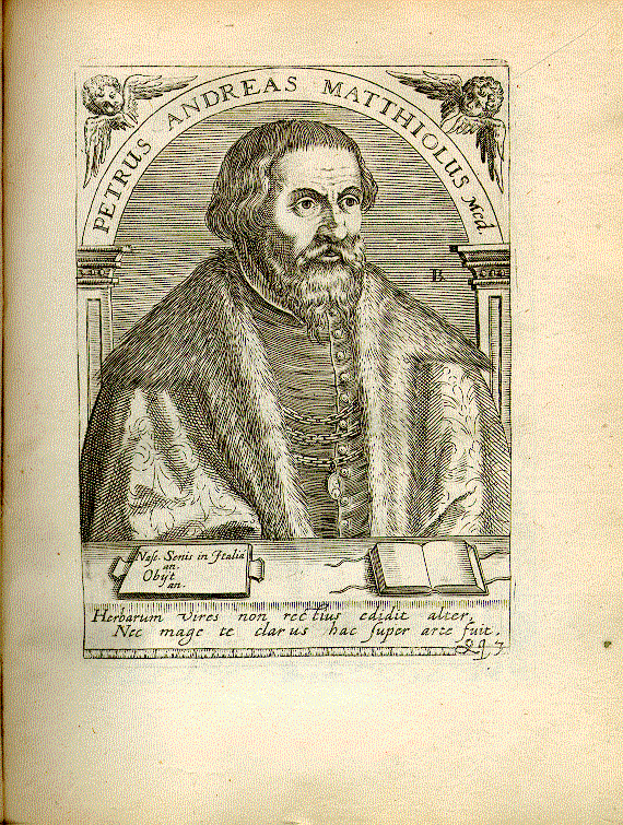Mattioli, Pietro Andrea (1500-1577); kaiserl. Leibarzt, Botaniker = Qq3