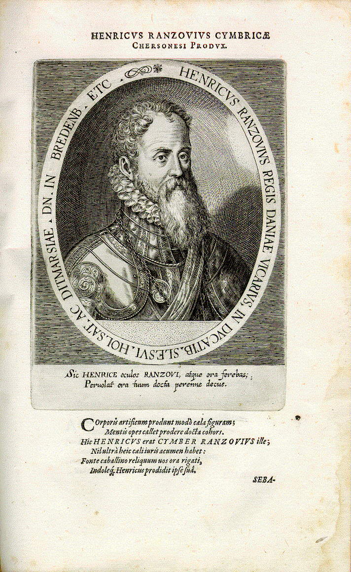 Heinrich Rantzau (1526-1598), Statthalter des dänischen Königs in Holstein