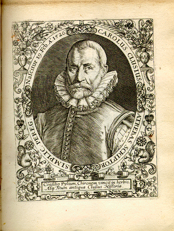 L'Ecluse, Charles de (1526-1609); Botaniker, Sprachforscher = Nn3