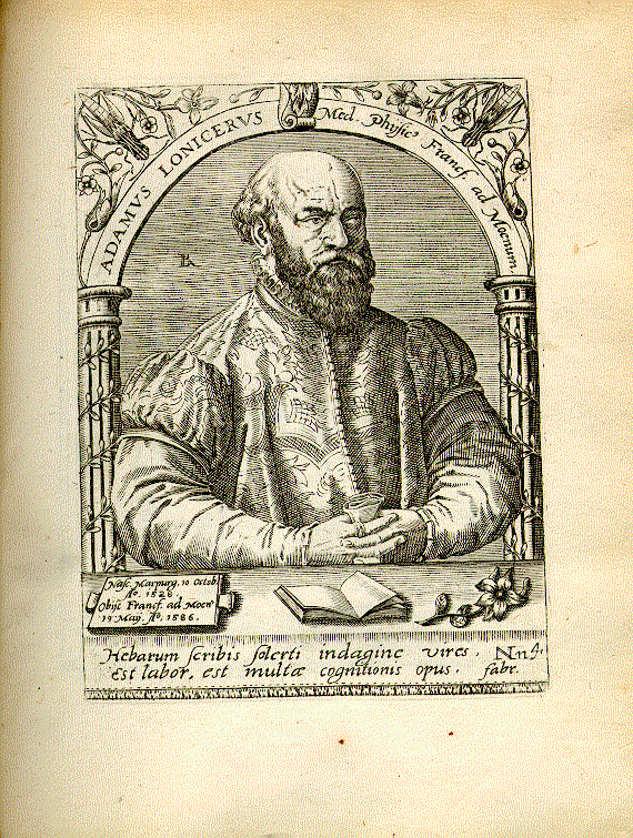 Lonitzer, Adam (1528-1586); Botaniker, Arzt, Mathematiker = Nn4